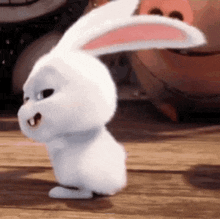 Bunny Animated GIF