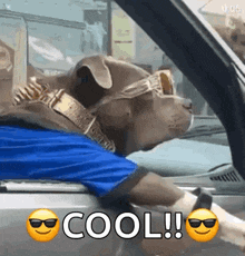 Cool Animated GIF