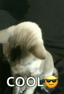 Cool Animated GIF