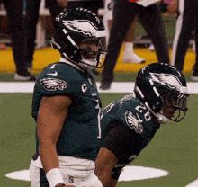 Eagles Animated GIF