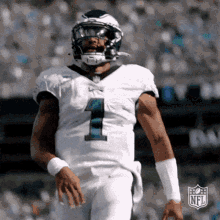Eagles Animated GIF
