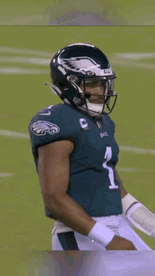 Eagles Animated GIF