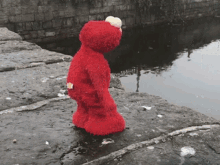 Elmo Animated GIF