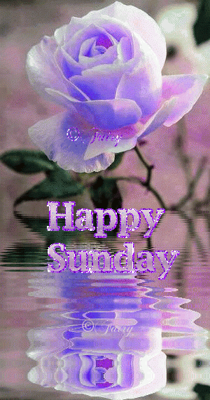 Happy Sunday Animated GIF