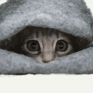 Hiding Animated GIF