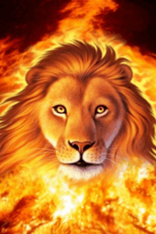 Lions Animated GIF