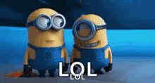Lol Animated GIF