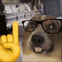 Nerd Animated GIF
