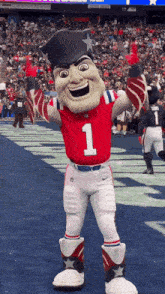 New England Patriots Animated GIF
