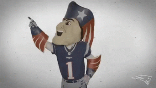 New England Patriots Animated GIF