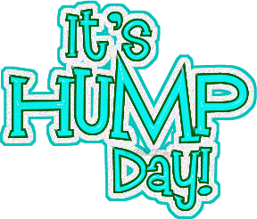Hump Day Animated GIF