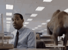Hump Day Animated GIF