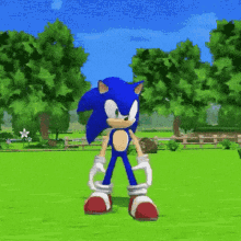 Sonic