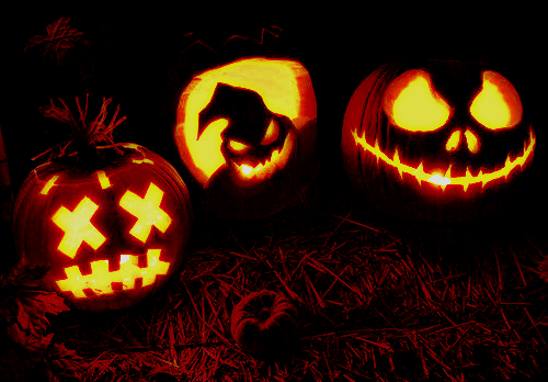Pumpkin Animated GIF