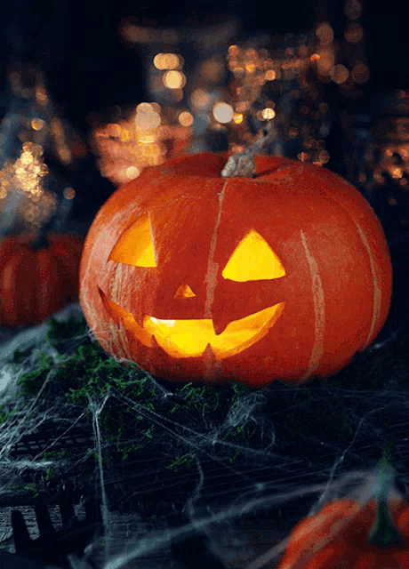 Pumpkin Animated GIF
