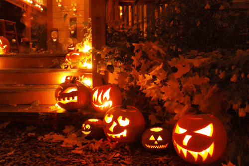 Pumpkin Animated GIF