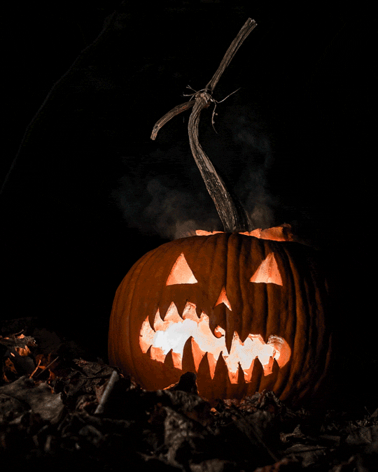 Pumpkin Animated GIF
