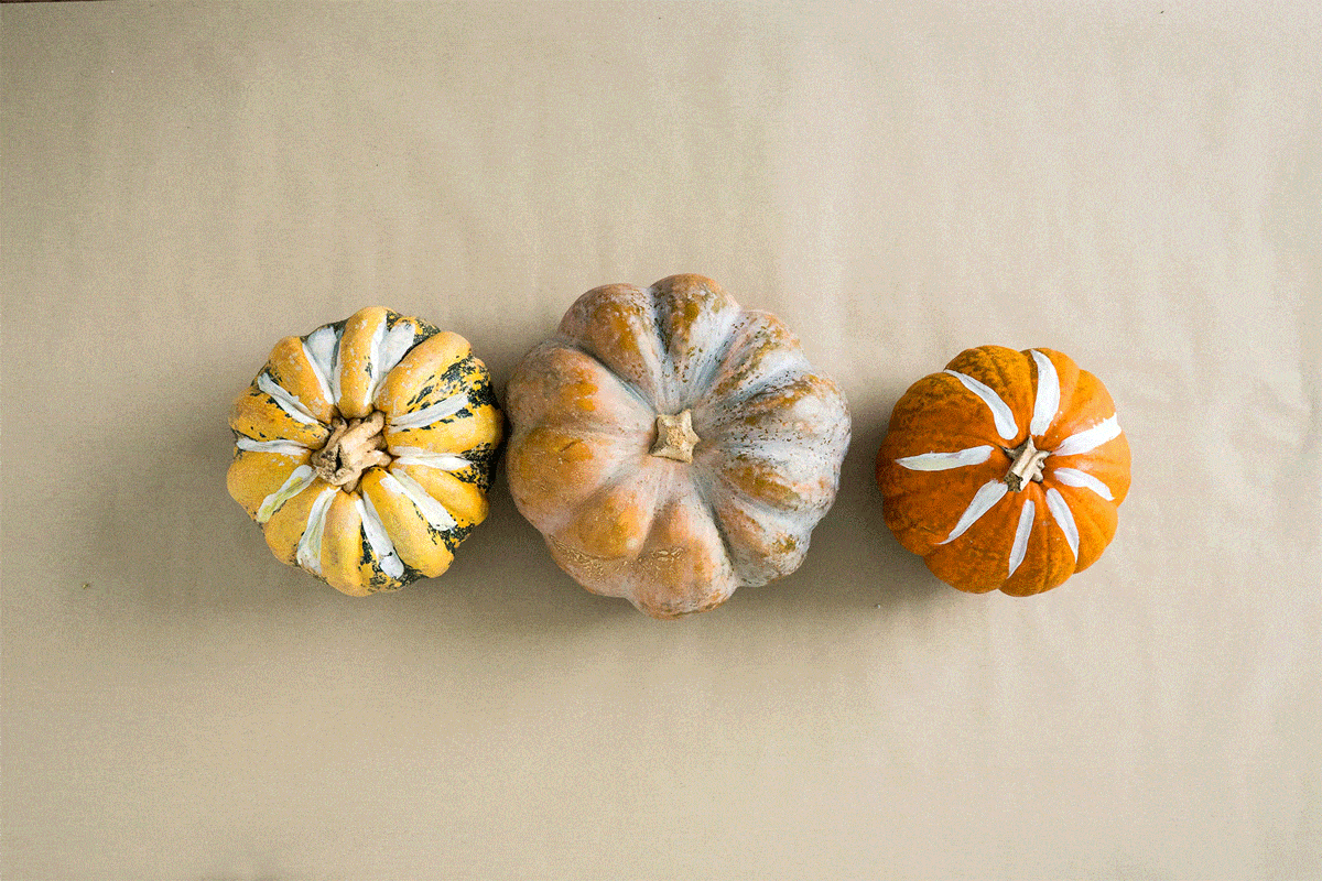 Pumpkin Animated GIF