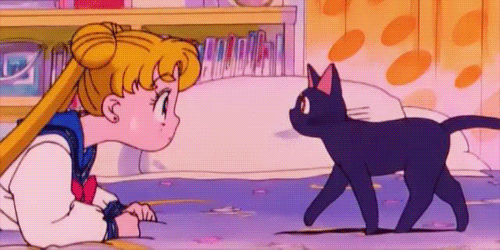 Sailor Moon Animated GIF