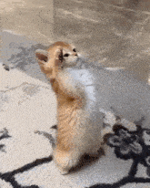 Salute Animated GIF