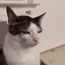 Side Eye Animated GIF