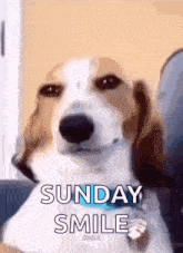 Sunday Animated GIF
