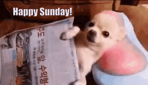Sunday Animated GIF