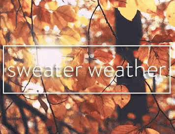 Sweater Seather Animated GIF
