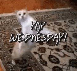 Wednesday Animated GIF