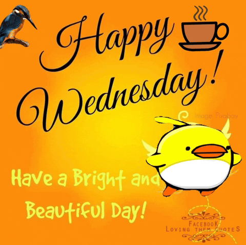 Wednesday Animated GIF
