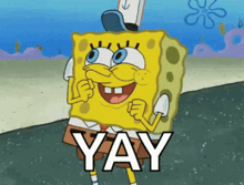 Yay Animated GIF