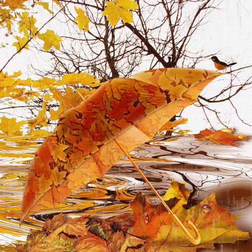 Autumn Animated GIF