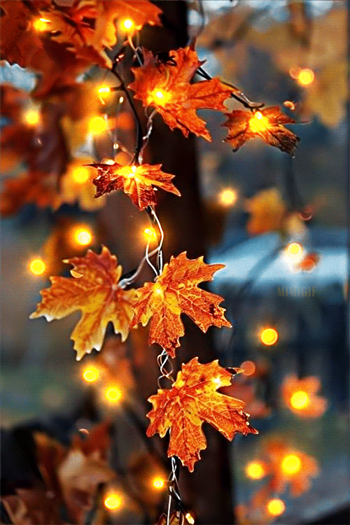 Autumn Animated GIF