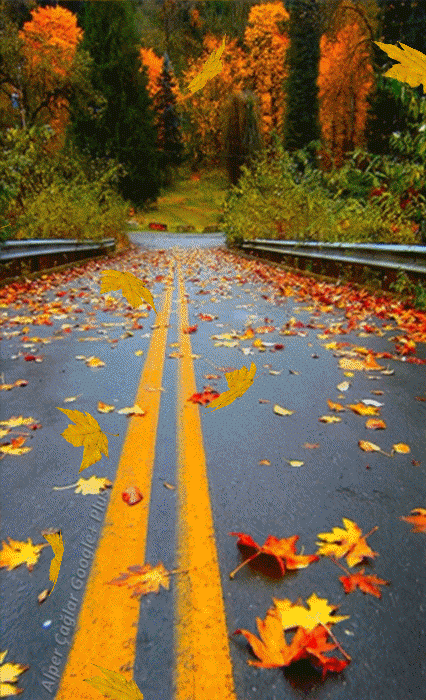 Autumn Animated GIF