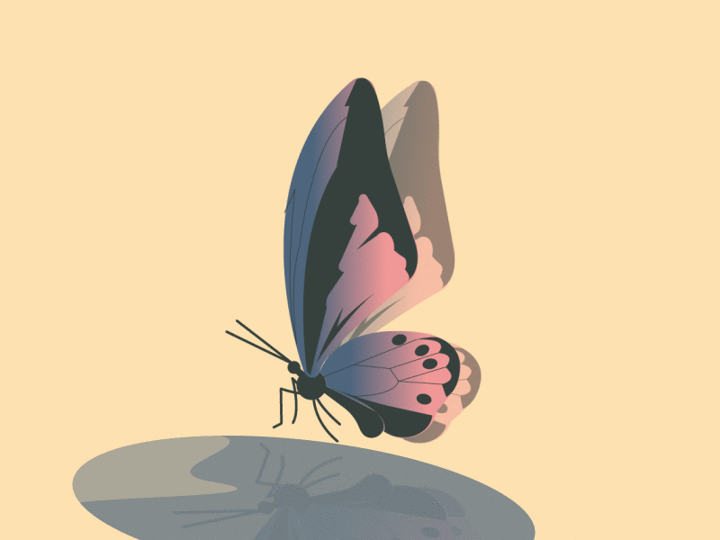 Butterfly Animated GIF