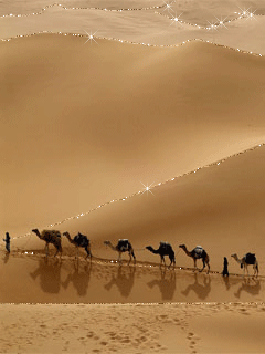 Camel Animated GIF
