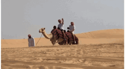 Camel Animated GIF