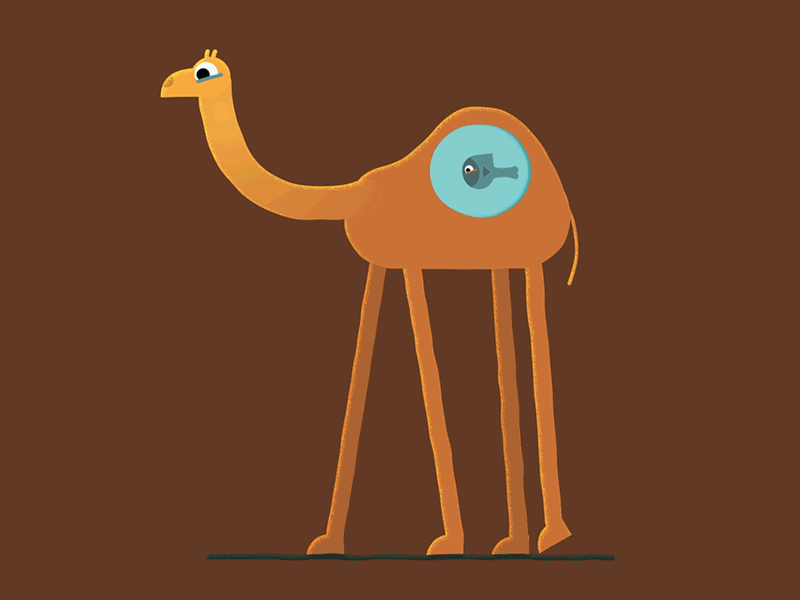 Camel Animated GIF