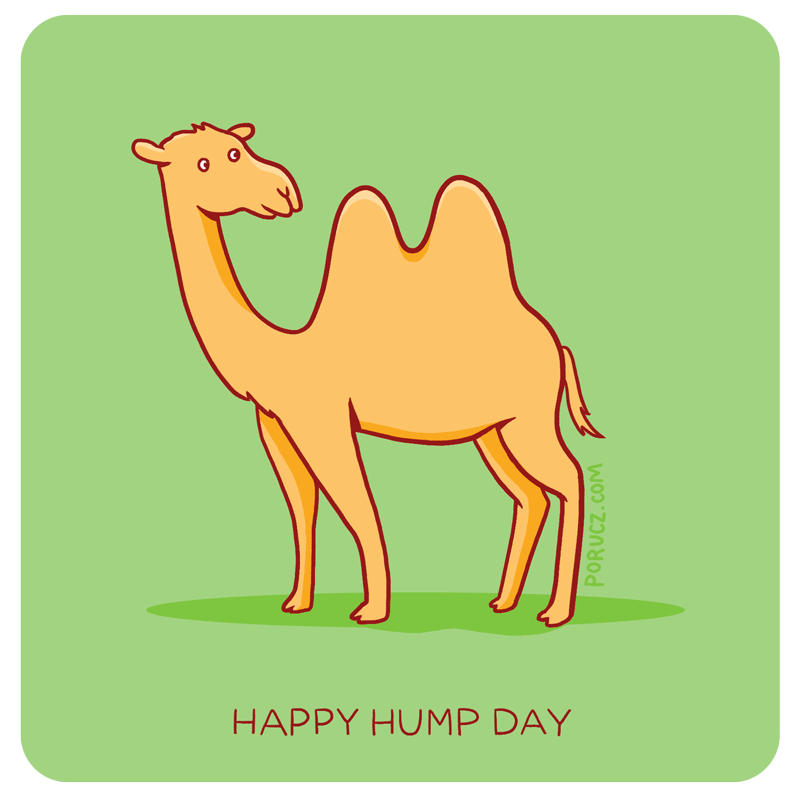 Camel Animated GIF