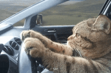 Carro Animated GIF