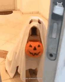 Halloween Animated GIF