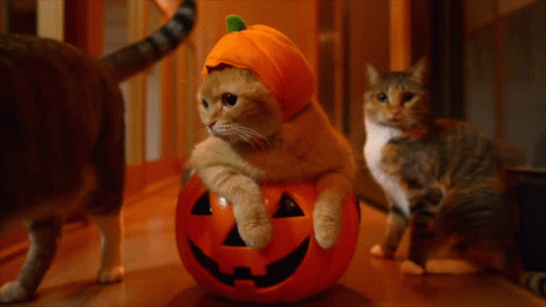 Halloween Animated GIF