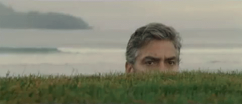 Hiding Animated GIF