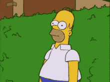 Hiding Animated GIF