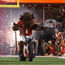 Hoosiers Animated GIF