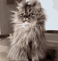Hungover Animated GIF
