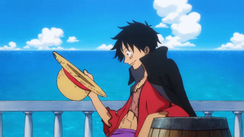 One Piece Animated GIF
