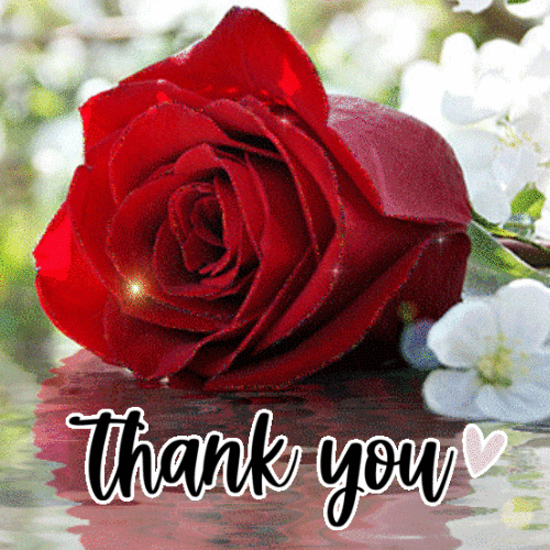 Thank You Animated GIF