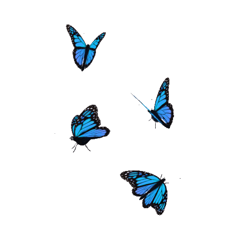 Butterfly Gif - IceGif