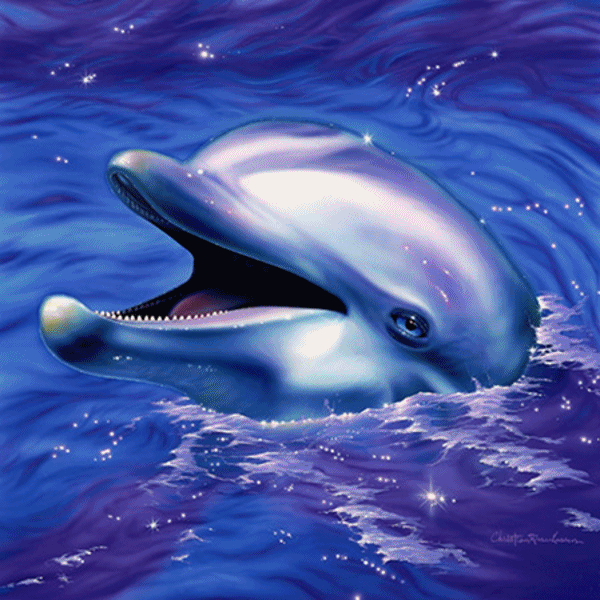 Dolphin Gif